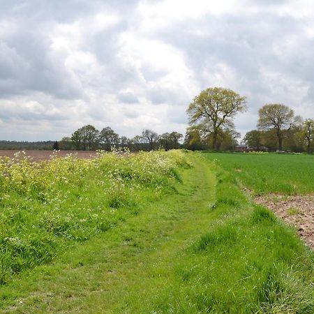 Beech Tree Cottage Horning Esterno foto